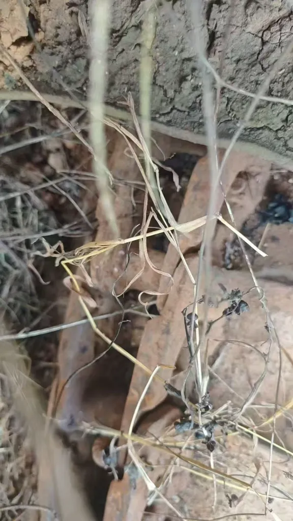 kato-250-7-undercarriage